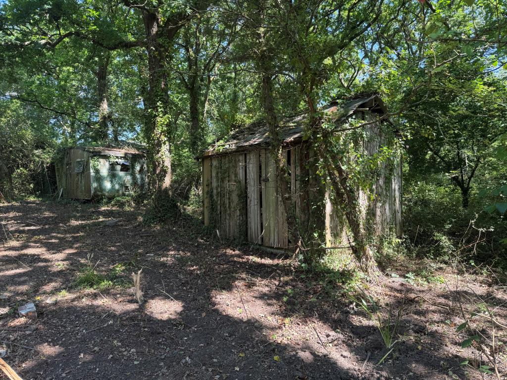 Lot: 159 - DETACHED BUNGALOW WITH POTENTIAL ON 1.6 ACRE PLOT - The Old Shed in the Rear Garden